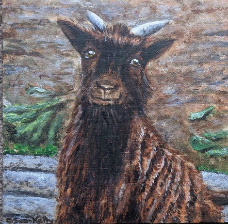 An acrylic on canvas painting of a young goat on a farm