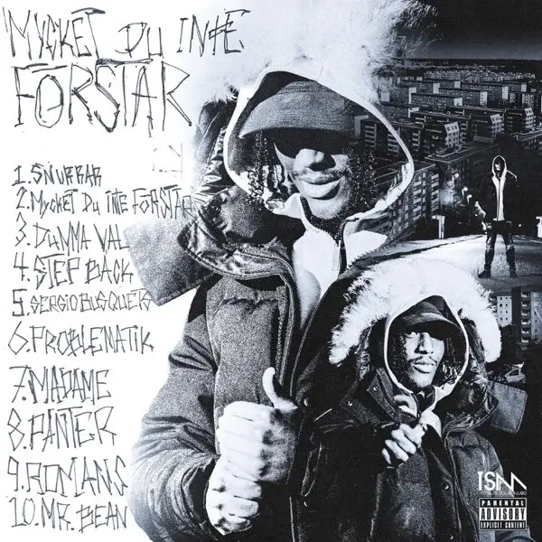 Mycket du inte förstår Cover art