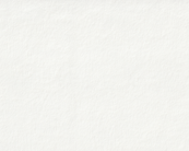 background.png