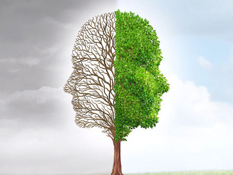 Different Paths to Belonging