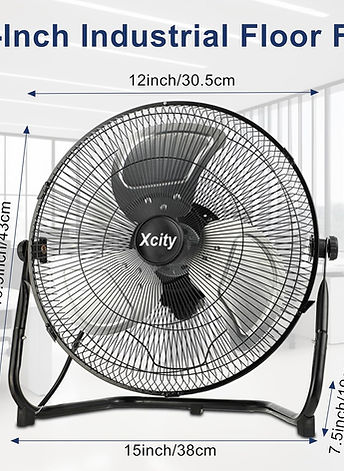 fan.jpeg