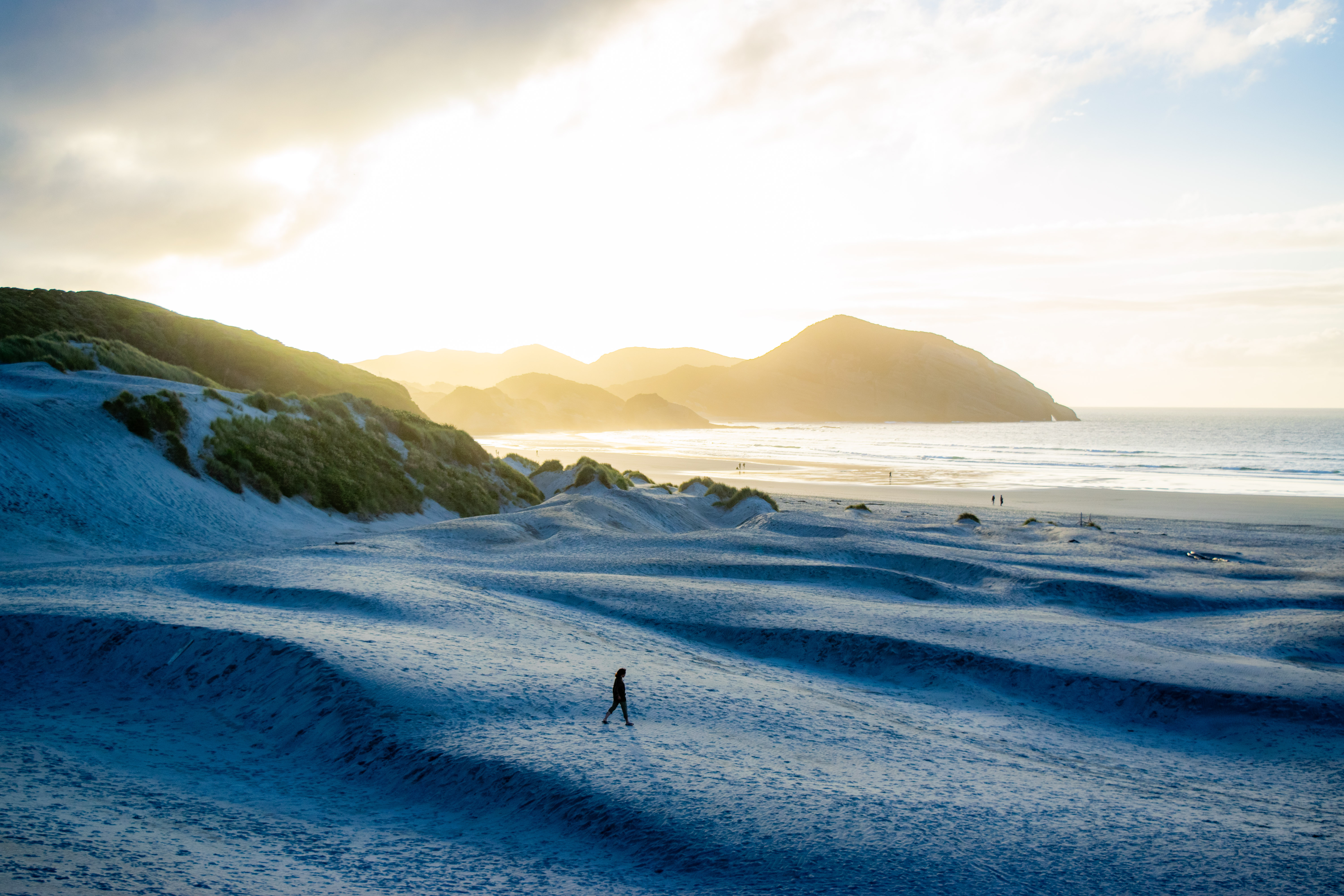 Walker on beach · NZ