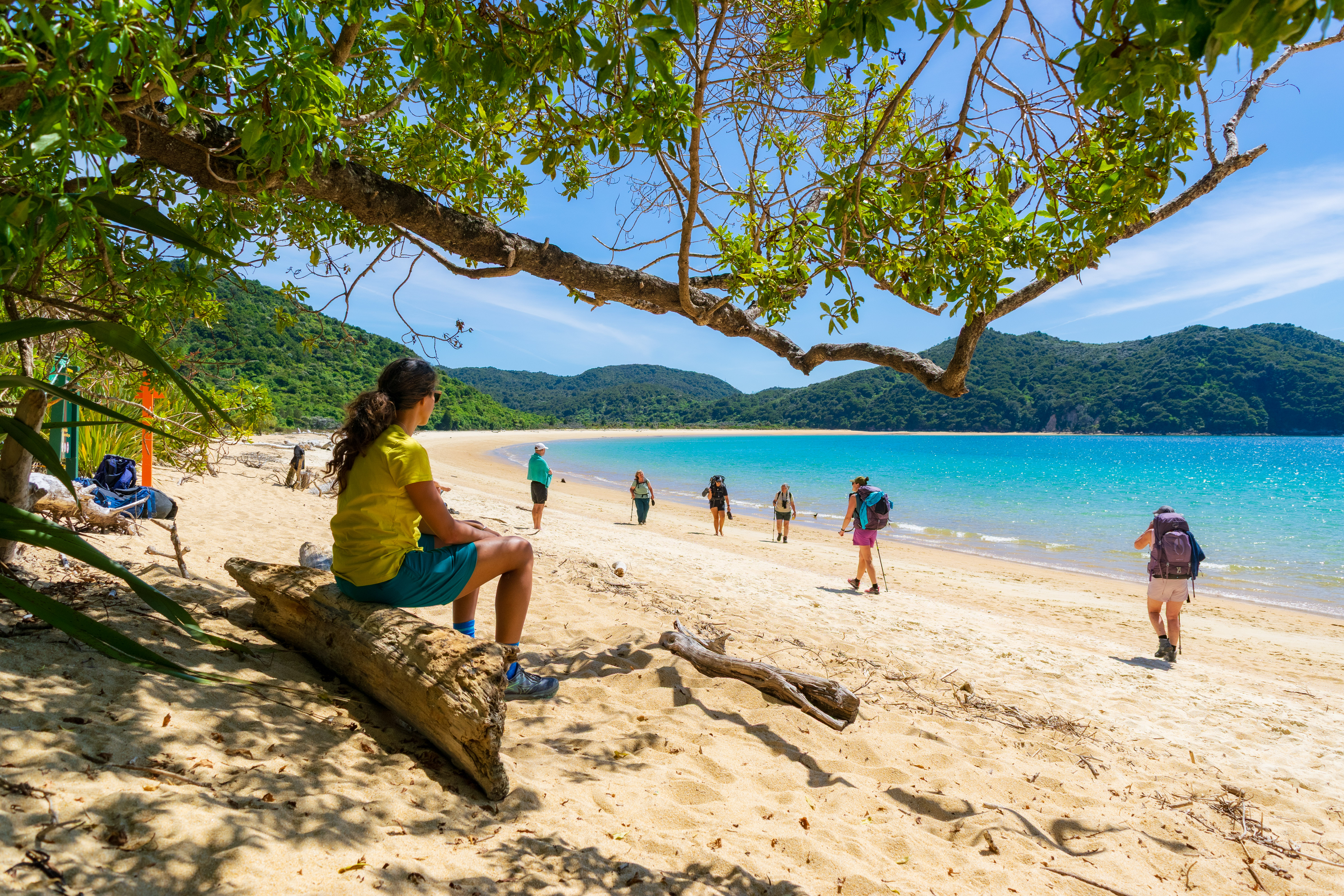 Hikers on beach · NZ