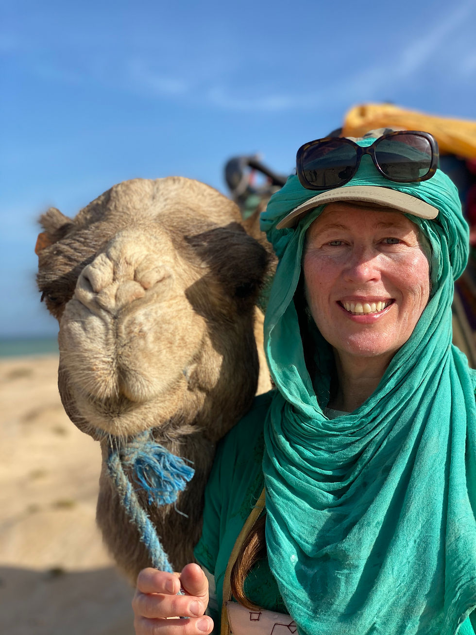 Alice Morrison - Shifting sands and camel capers: adventures in the desert