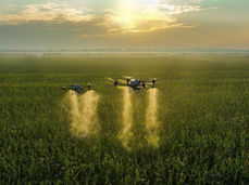 Diferenças Entre os Drones DJI Agras T50 e T25P