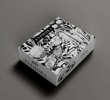 CAJA 3.png