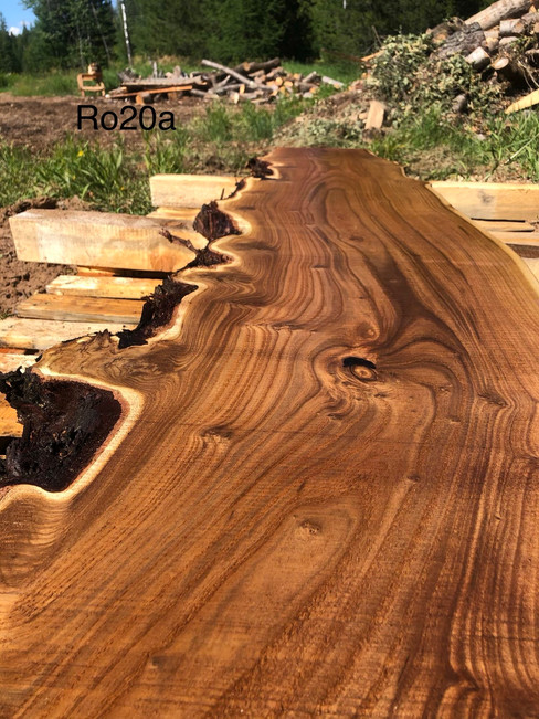 russian olive, wood, natural wood, nature, woods, burl hunter, buy wood, woodworker, furniture, construction, home, oregon burls