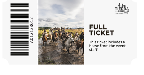 full ticket.png