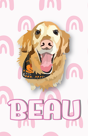 beau print.png
