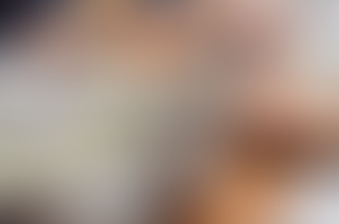 waiheke auckland restaurants