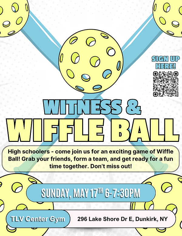 witness & wiffle ball.png