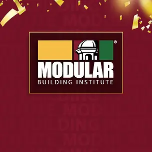 mbi cover.webp