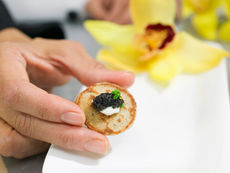 Where Seafood Speaks for Itself