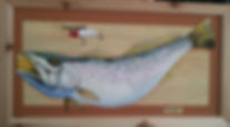 Sea Trout fishing