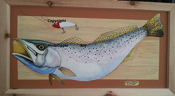 Sea Trout fishing