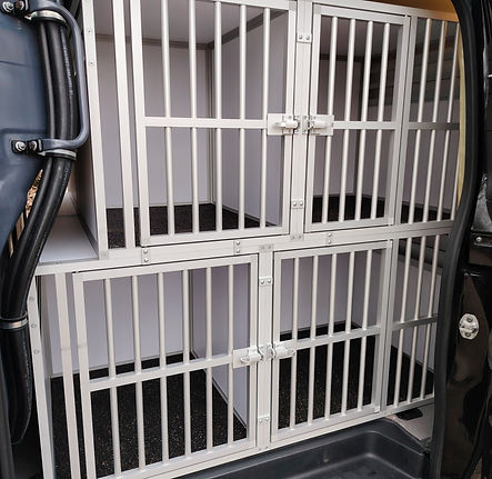 Cabot Services-Transport Chien Genève.jpg