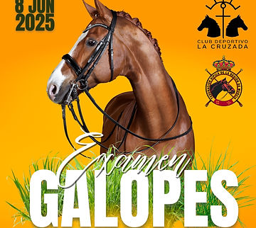 Galopes (2).jpg