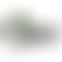 Combat Zone Warrior Softair BBs