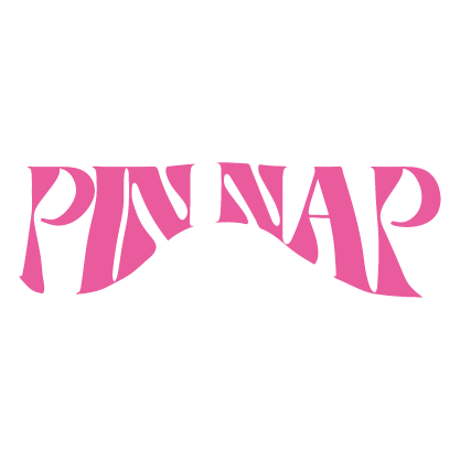 pinnap_site_logo.png