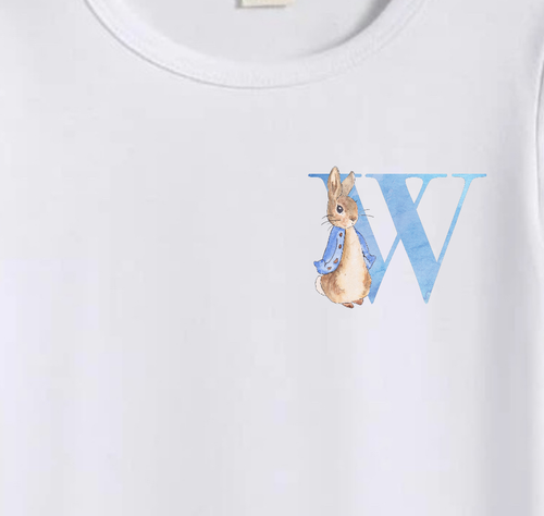 Peter rabbit Letter DTF transfer | DesignsbyKelly