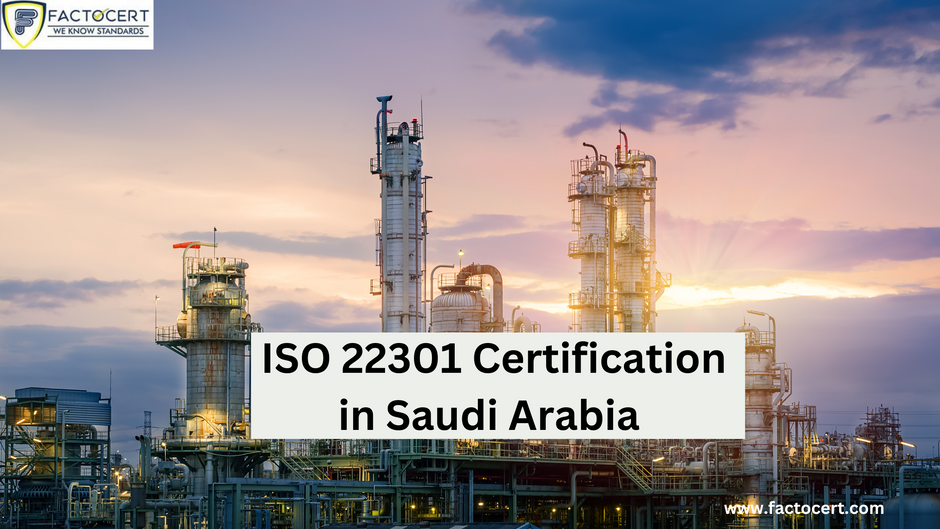 How A Large-Scale Corporation Could Profit From Iso 22301 Certification In Saudi Arabia