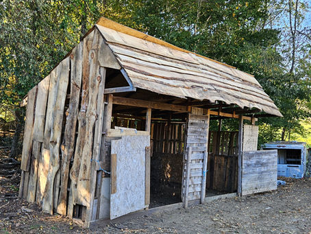 Farm Projects Update