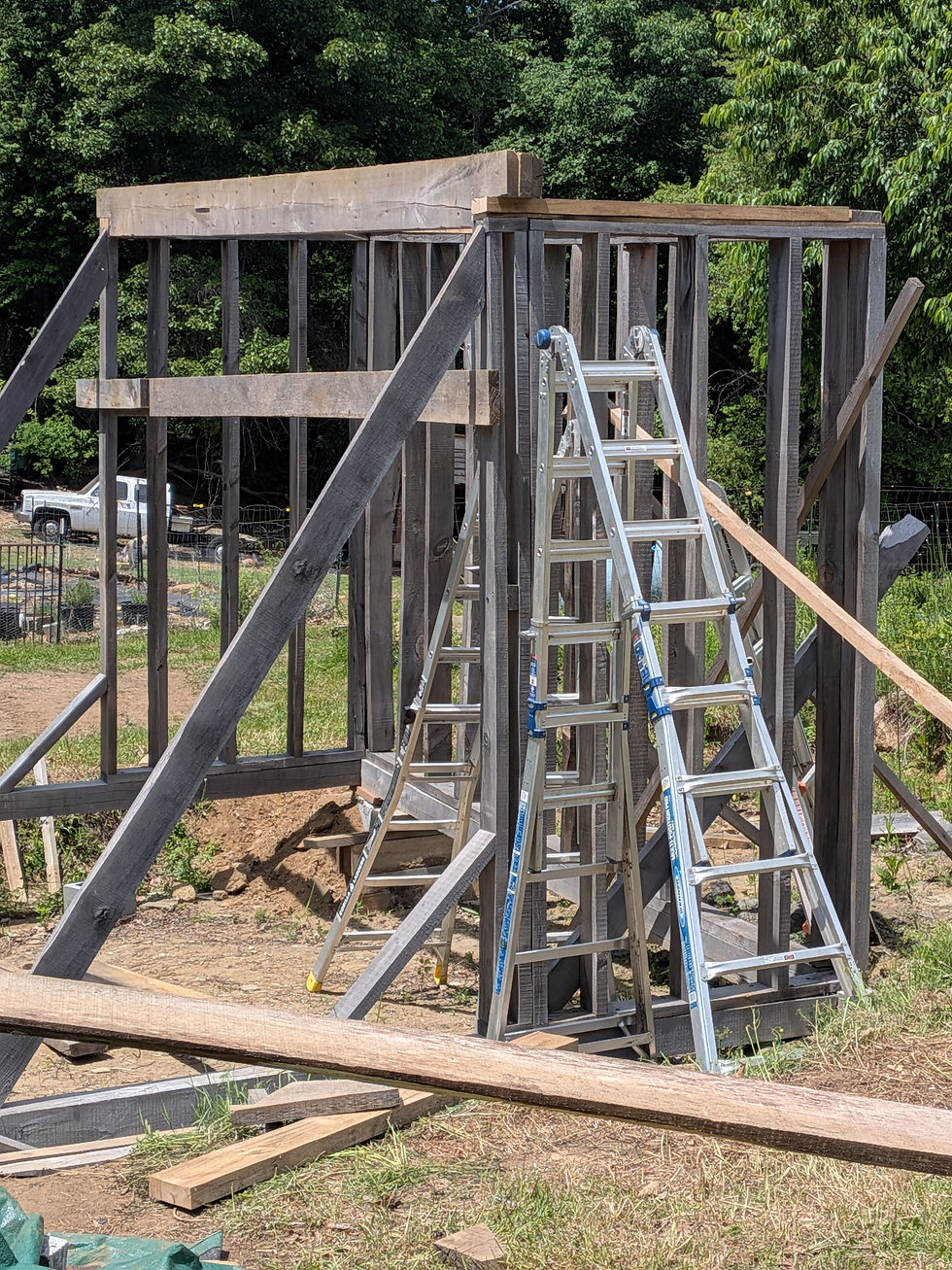 Side ramps and front brace