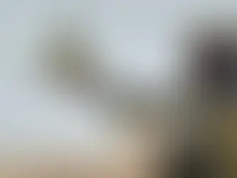 Iran: gli Stati Uniti valutano di comprare intercettori dall'Ucraina. 