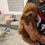 Thumbnail: Kaka’s new litter 