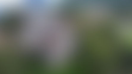 Stage Antiruggine nel Castello Manservisi di Castelluccio