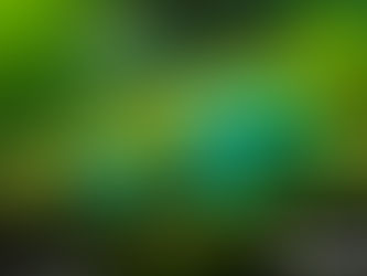 Easy Guide to Buying Loose Emeralds