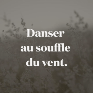 Danser_vent.gif