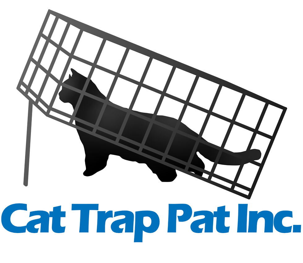 Fall Festival - Free Admission - RSVP NOT REQUIRED