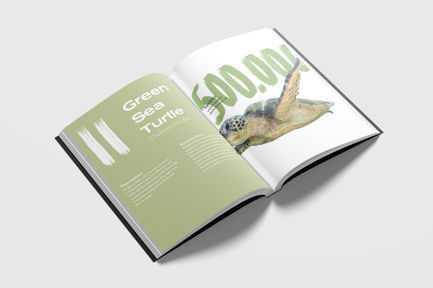 Recovering Species | Green Sea Turtle