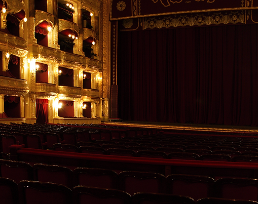 Executive Opera Night