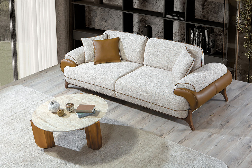 الصورة المصغرة: Terra Koltuk Takımı