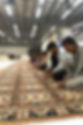 Gemini_Generated_Image_eb1kfgeb1kfgeb1k.png