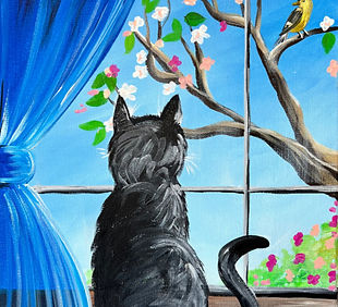 Bird Watching
