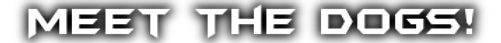 meet_the_dogs.png