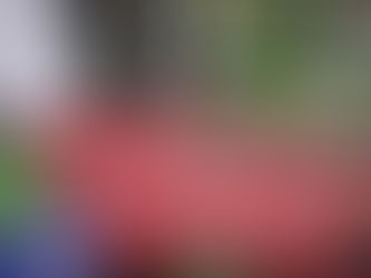 *මගේ පුංචි එලවළු කොටුව**
