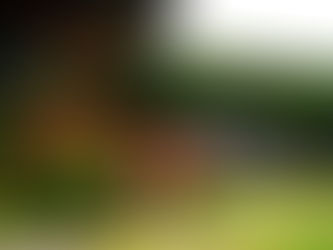    **එතෙරින් එතරට** 