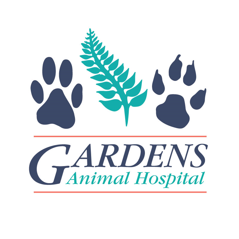 Animal Hospital | Gardens Animal Hospital | Palm Beach Gardens Animal Hospital | Gardens Animal Hospital | Palm Beach Gardens