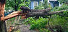 Chattanooga Storm Damage Clean Up.jpg