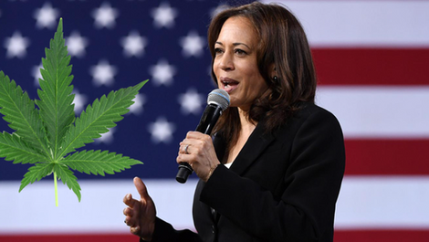 Kamala Harris Says ‘We Need To Legalize Marijuana’ For First Time Since Joining Biden Ticket, Signaling Potential Shift Ahead Of Election