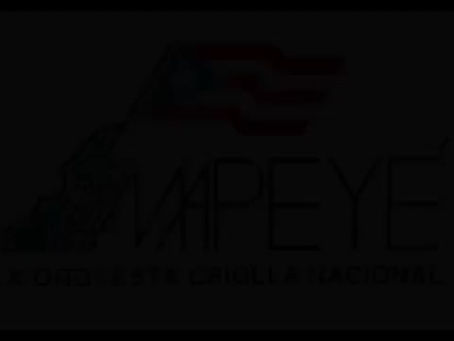 Una muestra de solidaridad con Cuba desde Puerto Rico