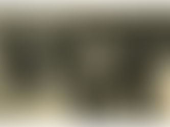 GLADYS BORREL (LA CORONELA)