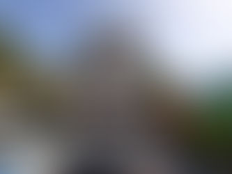 Inauguran monumento a Fidel Castro en República Dominicana