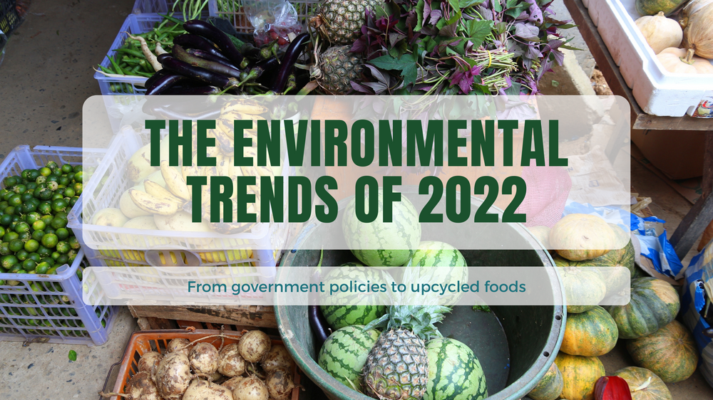 What Are the Environmental Trends for 2022?