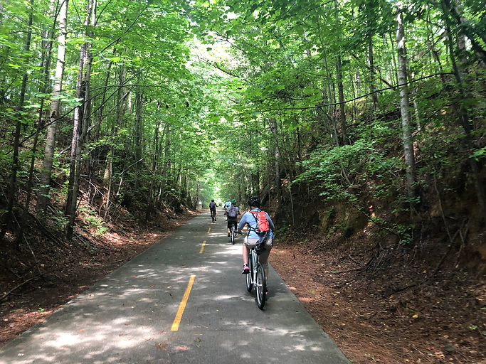 Biking-through-woods.HEIC