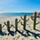 Miniature : Cactus en doum 
